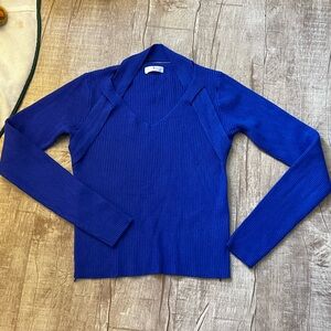 Elegant Blue V-Neck Sweater for Women